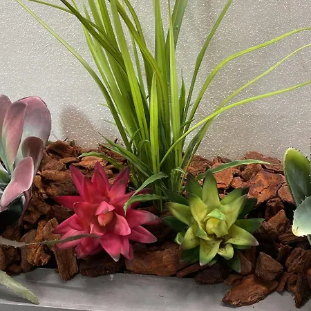 Moderna - Charme & Relax In Centro Pensjonat Modena