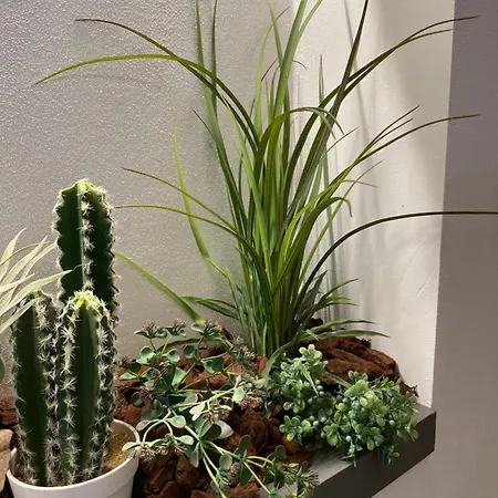 Pensjonat Moderna - Charme & Relax In Centro