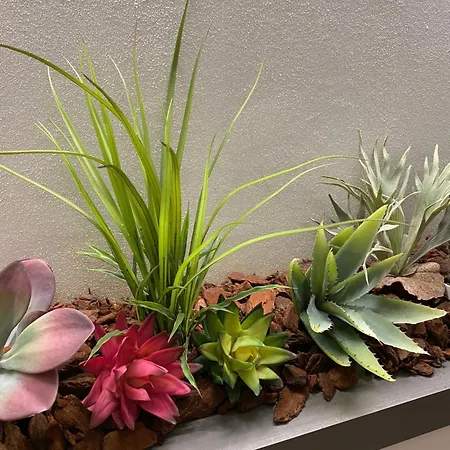 게스트하우스 Moderna - Charme & Relax In Centro 모데나