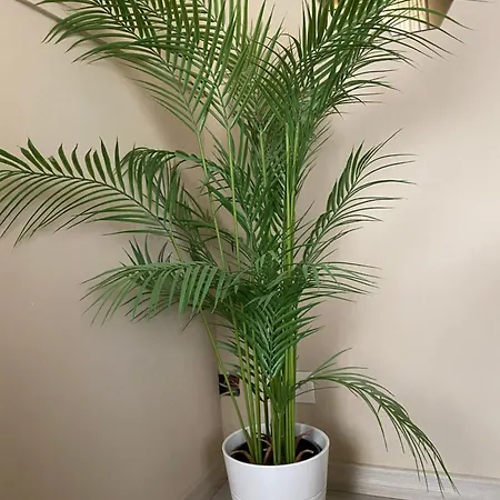 Moderna - Charme & Relax In Centro 게스트하우스 3*